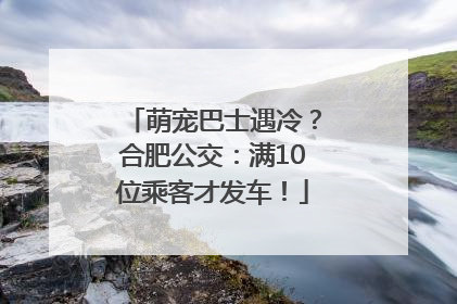 萌宠巴士遇冷？合肥公交：满10位乘客才发车！